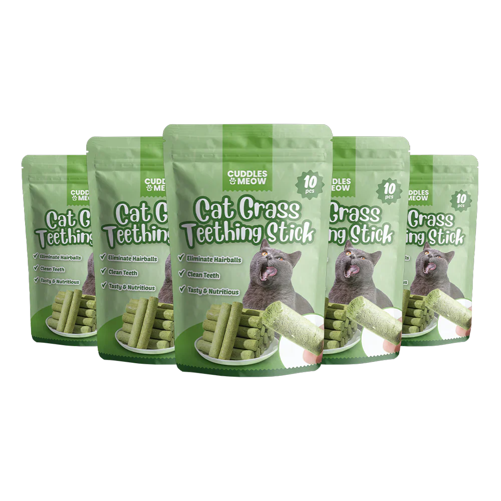 Cat Grass Teething Sticks - Image 10