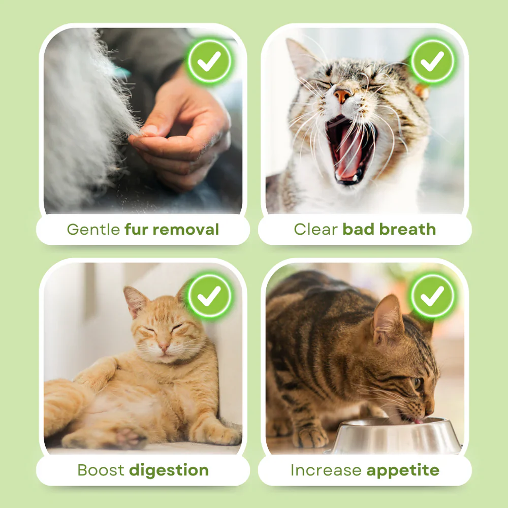 Cat Grass Teething Sticks - Image 3