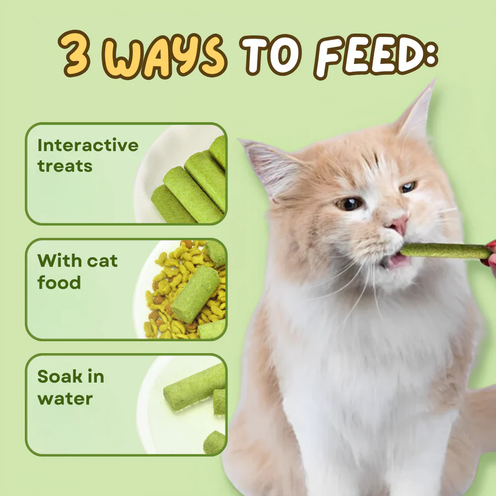 Cat Grass Teething Sticks - Image 5