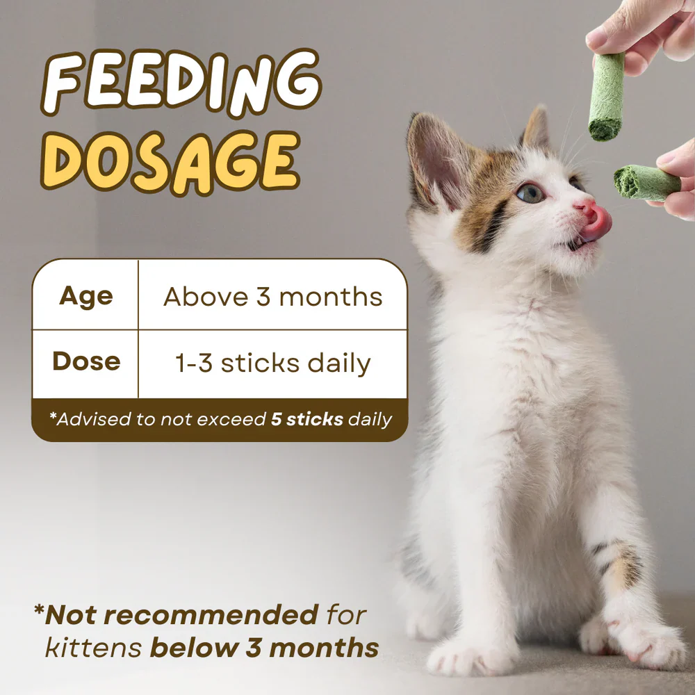 Cat Grass Teething Sticks - Image 6