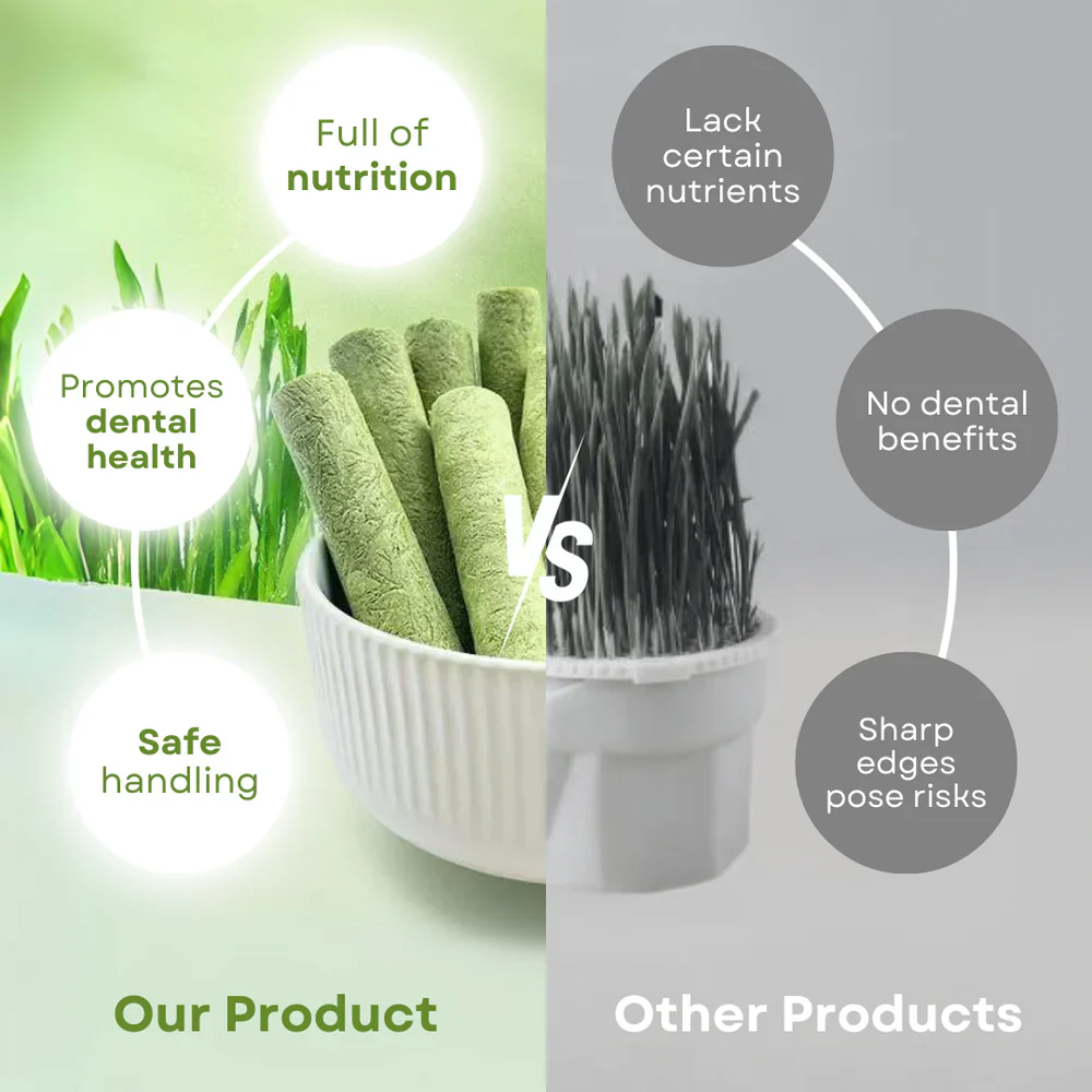 Cat Grass Teething Sticks - Image 7